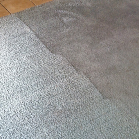Carpet Cleaning Morley