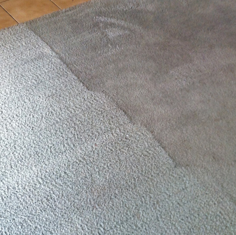 Carpet Cleaning