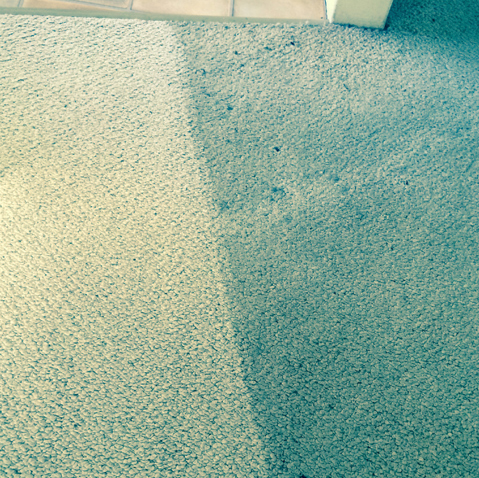 Carpet Cleaning Manning