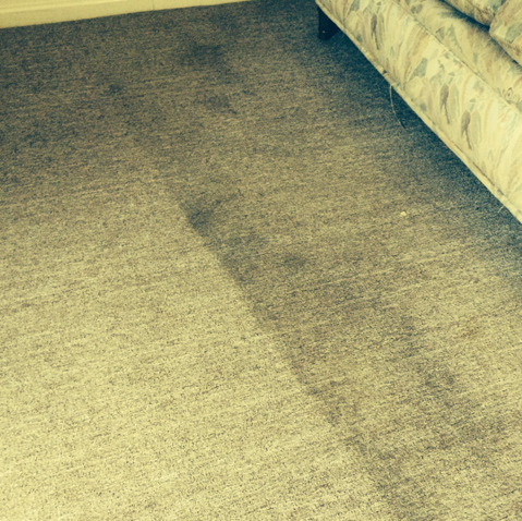 Carpet Cleaning Welshpool